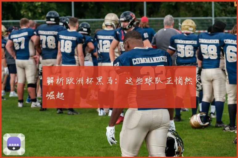 解析欧洲杯黑马：这些球队正悄然崛起