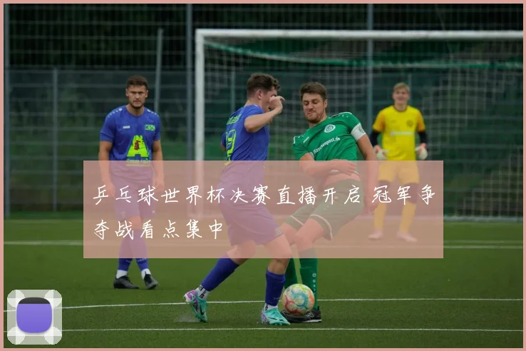 乒乓球世界杯决赛直播开启 冠军争夺战看点集中