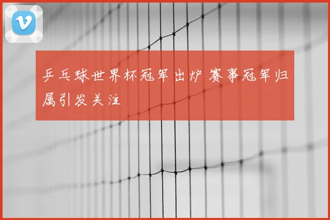 乒乓球世界杯冠军出炉 赛事冠军归属引发关注