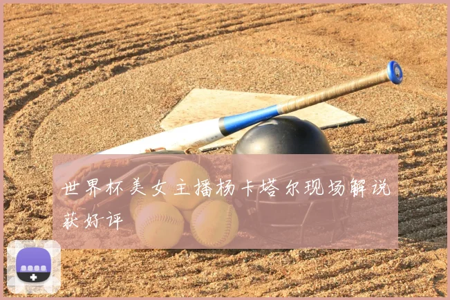 世界杯美女主播杨卡塔尔现场解说获好评