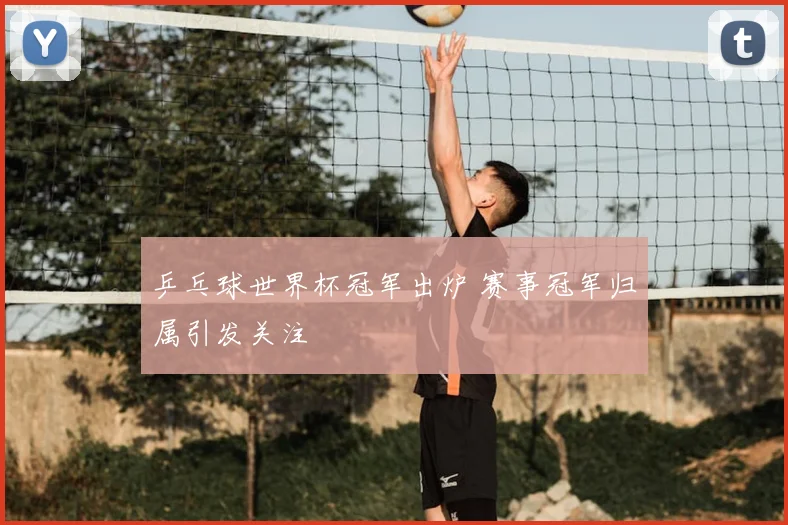 乒乓球世界杯冠军出炉 赛事冠军归属引发关注