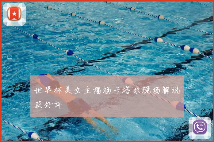 世界杯美女主播杨卡塔尔现场解说获好评