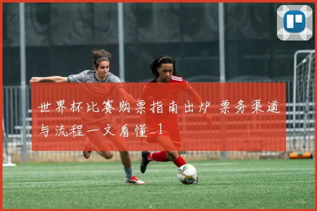 世界杯比赛购票指南出炉 票务渠道与流程一文看懂_1