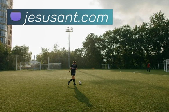 开云在线登录入口官网平台生态图